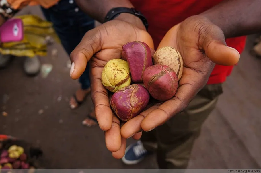 high quality hot sale kola nuts