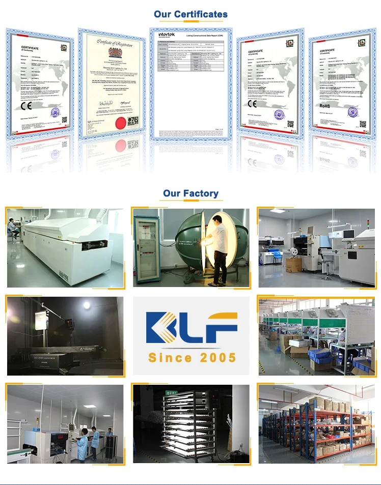BLF company introduction