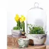 New - arrival elegant turquoise marble cheap graceful seedling ceramic planter pot with glass cover