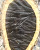 80cm diameter quality Black Ebony wood logs