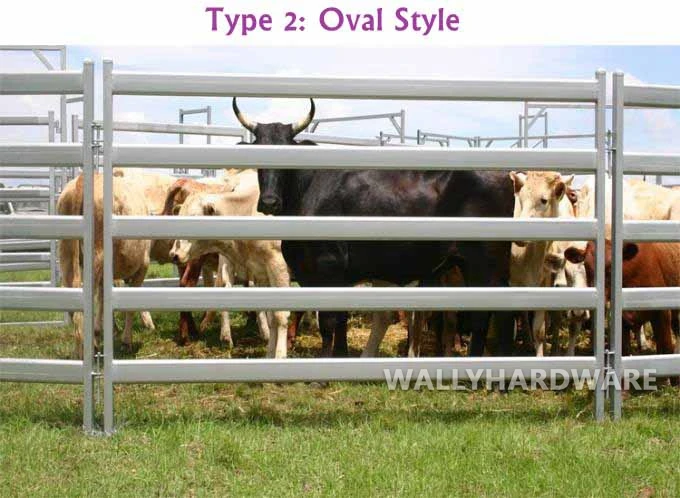 Budget pasture cattle/caw/bull steel rail stockyard/pen fence panels/factory direct sale