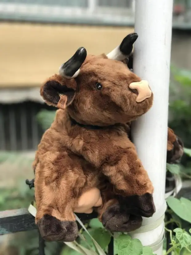 black bull stuffed animal