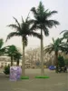 high king coco tree coconut tree imitation fake coconut tree