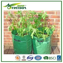 Agricultural pp ground cover