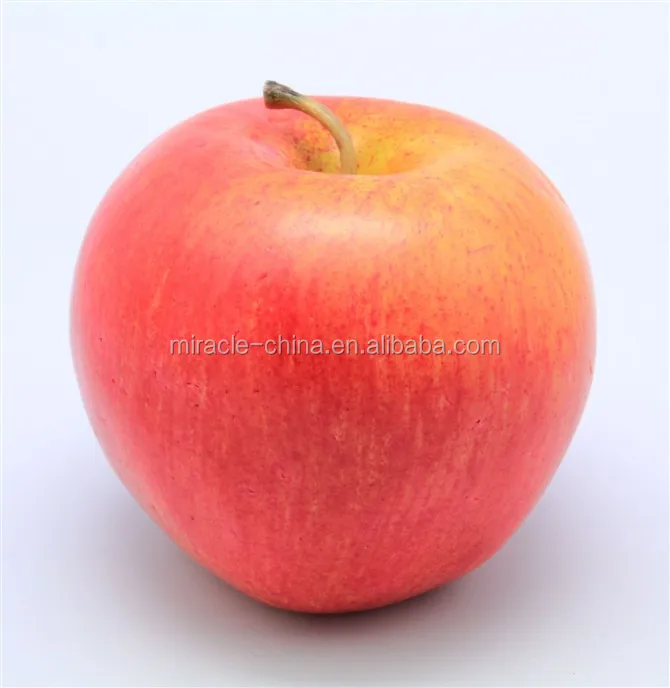Wholesale Simulation Styrofoam Fruits Decoration American Artificial