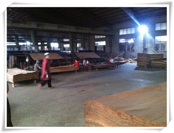 lowest price natural gurjan face veneer/keruing face veneer vietnam