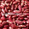 red specked kidney beans
