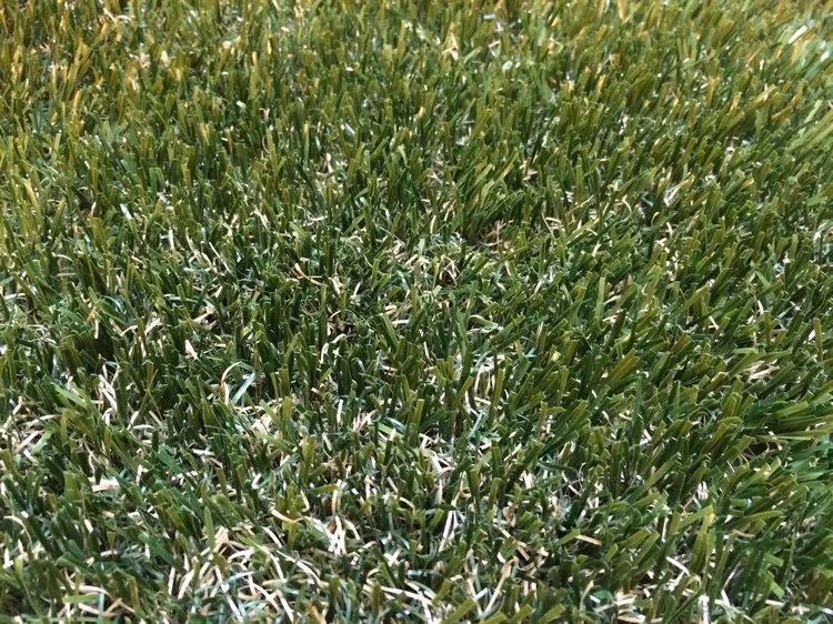 AU4514ADA-T5-1 15.9.II.JPG