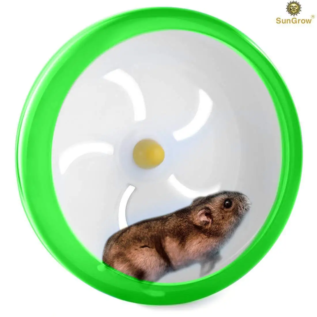 Cheap Exercise Wheel For Guinea Pigs, find Exercise Wheel For Guinea