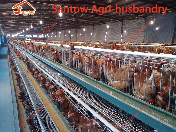 A Type 3 Tiers Pyramid Chicken Cage Design For Kenya Nigeria Chicken