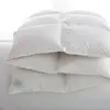 Natural Comfort 100% Down Feather Bed Comforter Goose Down Comforter