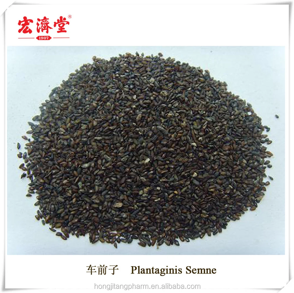 车前草种子 (植物精液)-cheqianzi