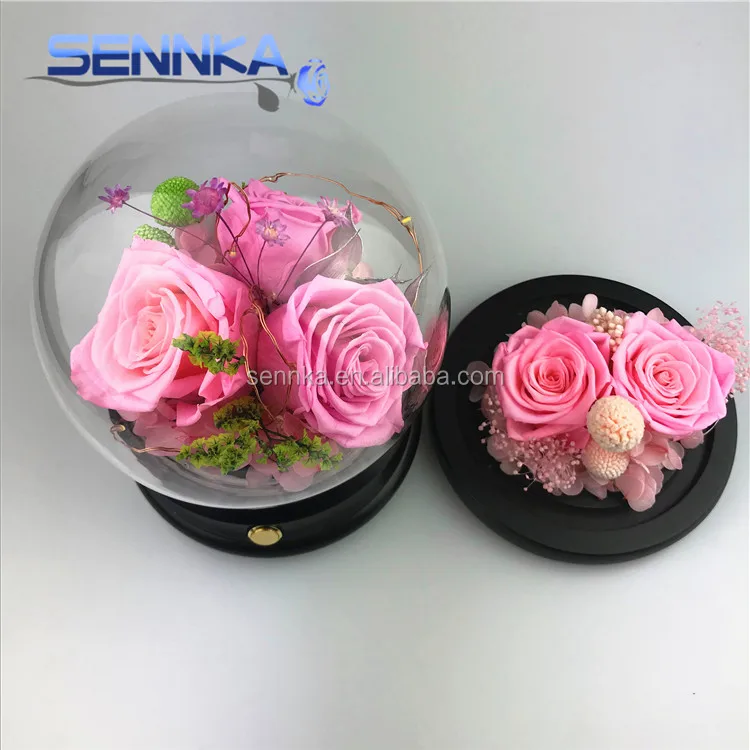 roses preserved in glass