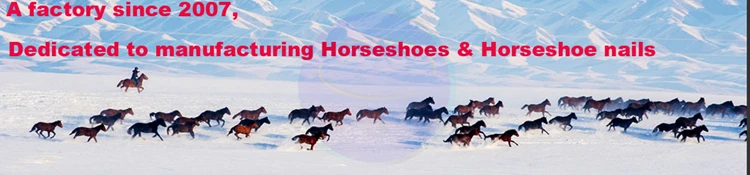 1200x 280  + logo.jpg