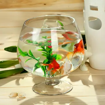 mini glass aquarium