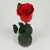 Long Lasting Real Natural Preserved Rose In Glass Dome For Decoration