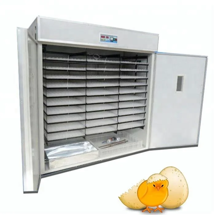 poultry egg incubator (11).JPG