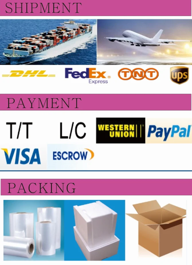 Packaging & Shipping.png