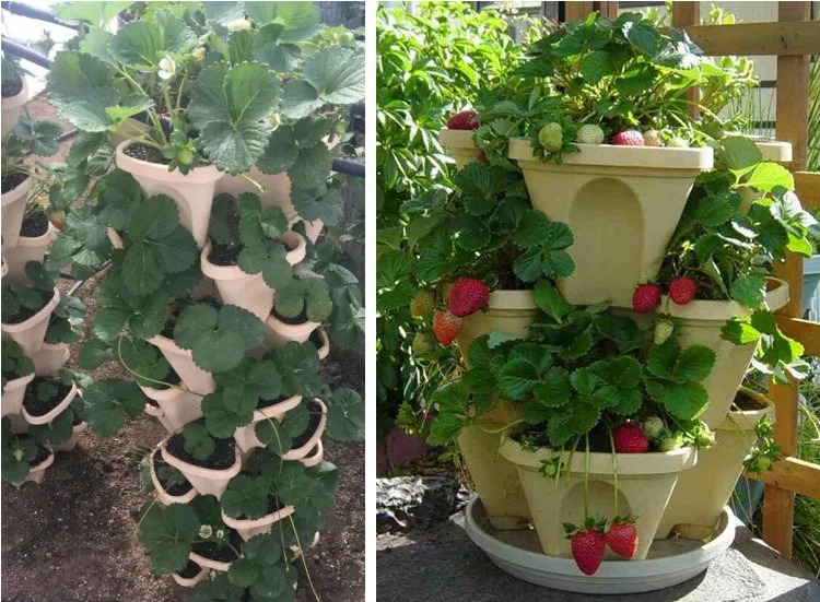 2 Inch 50mm Lettuce Growing Plastic Pp Black Flower Net Pots For Hydroponics Aquaponics Buy