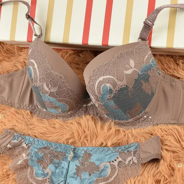 French Female Underwear Women Bra Set Embroidery Sexy transparent lace bra and panty set plus size push up lace bra set