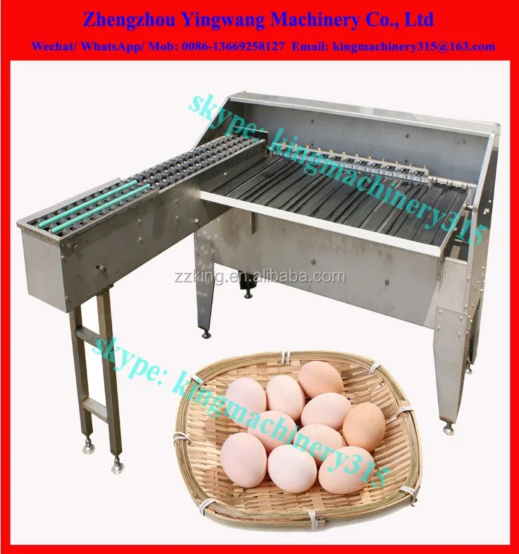Automatic Egg Sorting Machine Egg Grader And Packing Machine For Sale Buy Automatic Egg