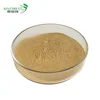 Probiotic Feed Additive Bacillus licheniformis animal feed additive
