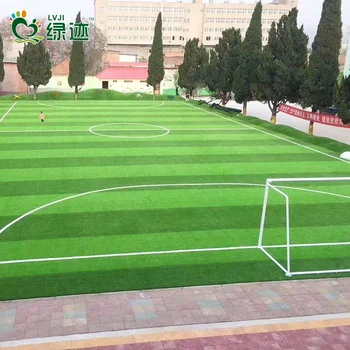 Ce Sgs Proved Mini Football Field Sports Artificial Plastic Grass