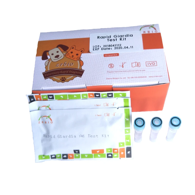 Dog Disease Test Giardia Lamblia Antigen Rapid Test Buy Rapid Giardia