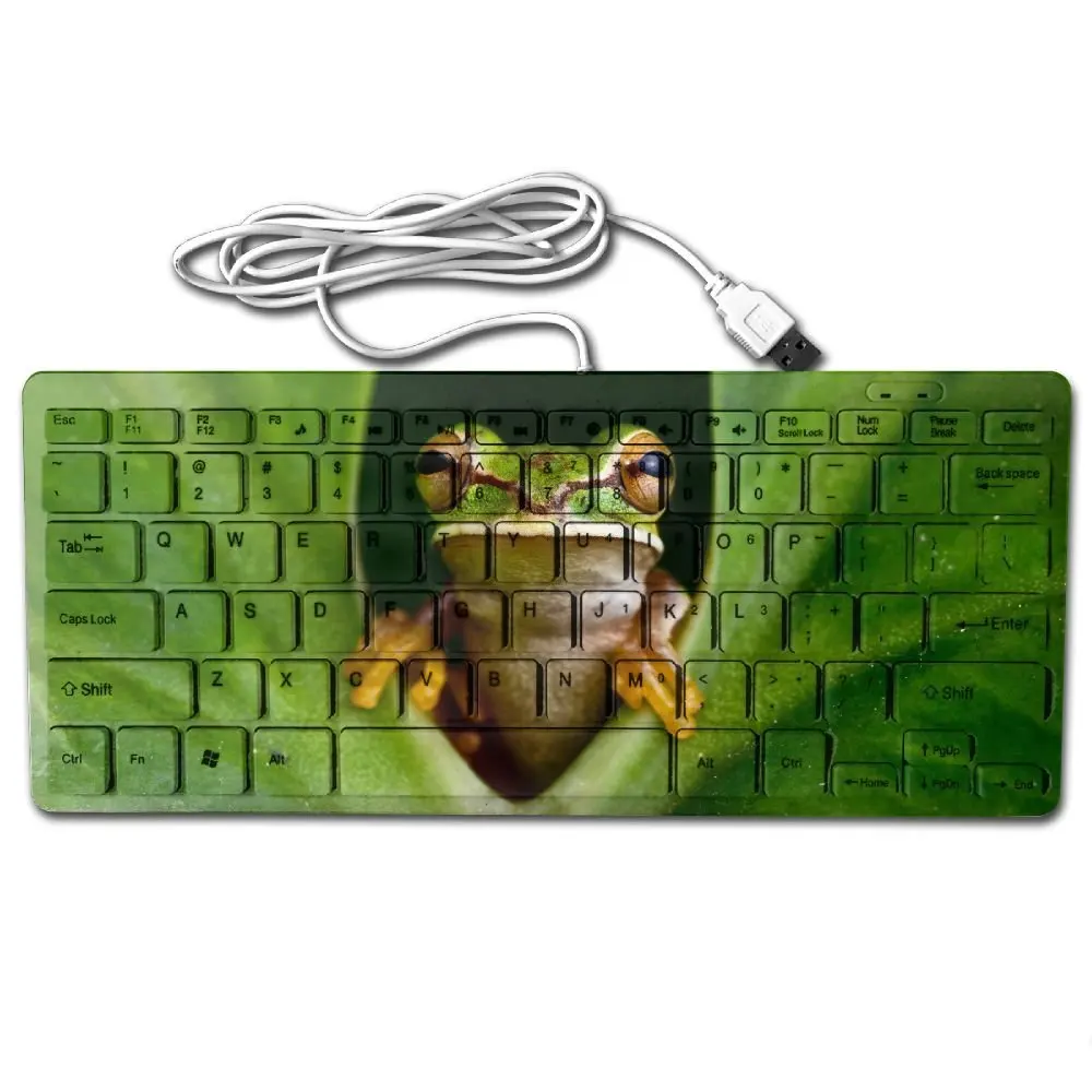 Cheap Frog Keyboard, find Frog Keyboard deals on line at