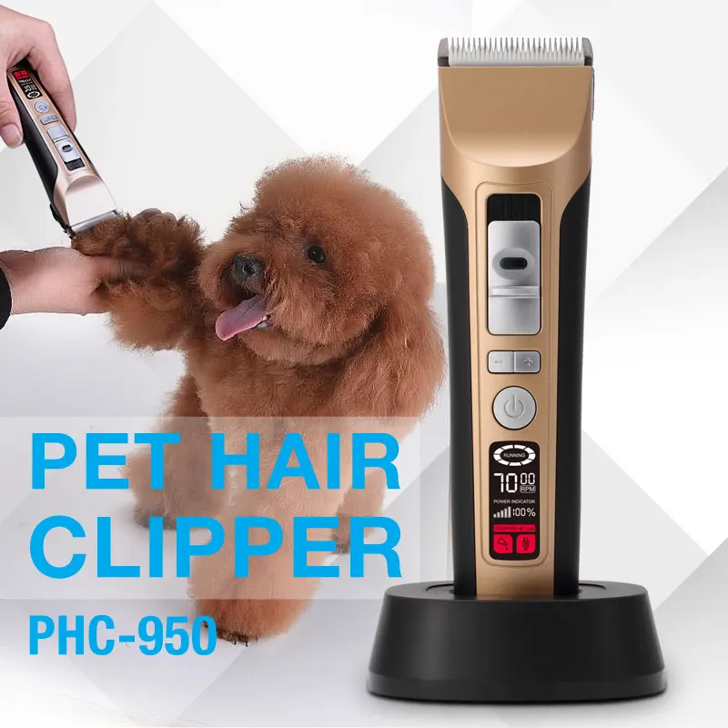 professional pet grooming