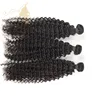 Hot sale kinky curly indian malaysian brazilian and peruvian hair no glue no thread no clips machine weft virgin hair