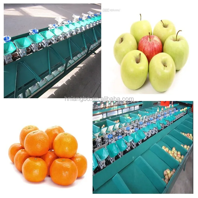 Electronic Weigher Apple Sorting Machine For Sale/fruit Sorting Machine
