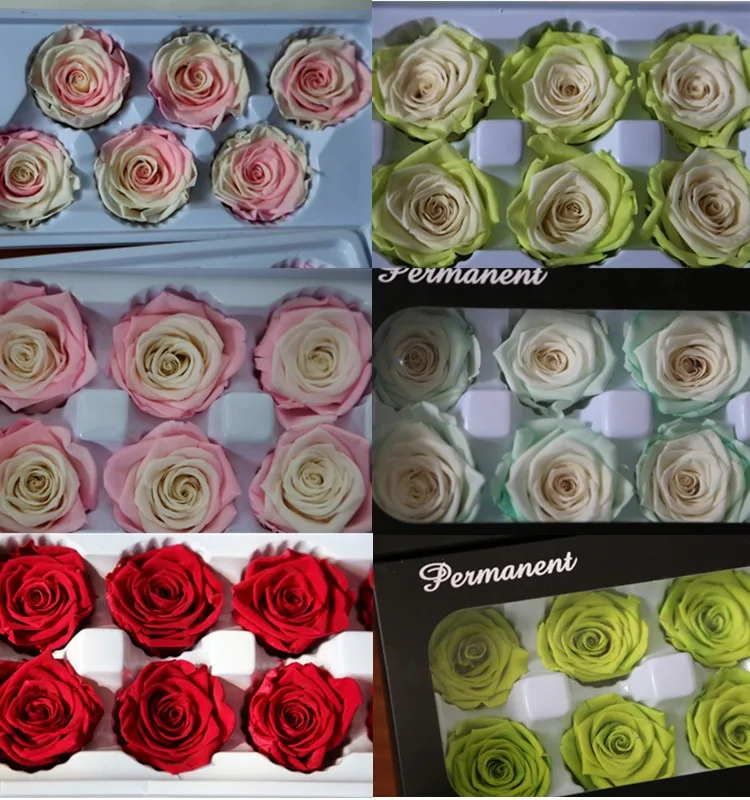 preserved rose 14.jpg