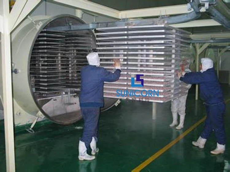 100m2 1000kg Capacity Vegetable Fruit Flower Vacuum Freeze Drying
