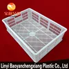 Plastic crate for freezer for freezing chicken Crates