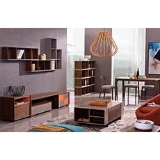 Living room set simple design tv stand coffee table with storage