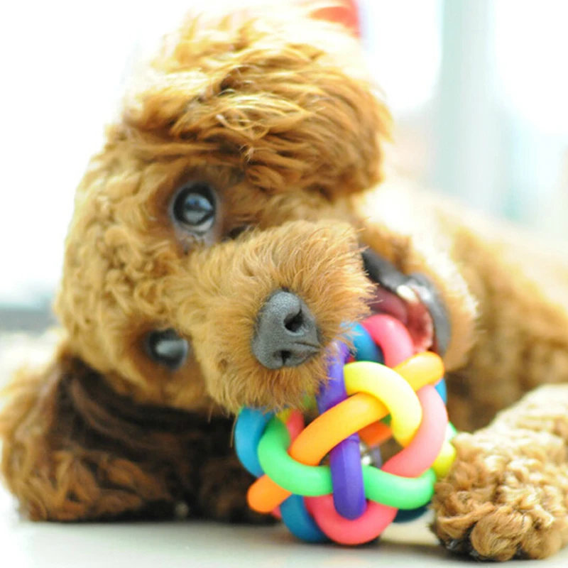 Собака папье маше. Игрушка для собаки утяжеленная. Игрушки в виде собак. Собачка чихуахуа 15 см beanie boo's 36324. Красивые мягкие игрушки собаки.