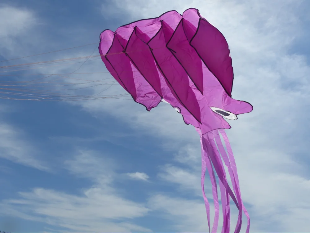 paste-pic-dp_uuid_1xmtz