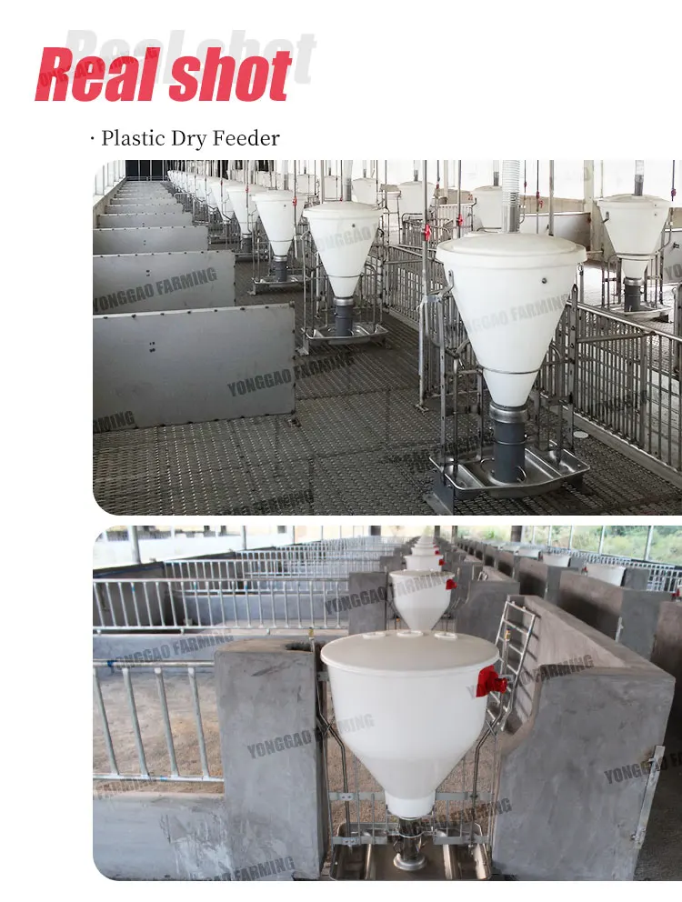 Pig Farm Fattening Auto Feeding Plastic Double Side Dry Wet Equipment