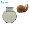 100 Percent And Pure Coconut Milk Powder Bulk