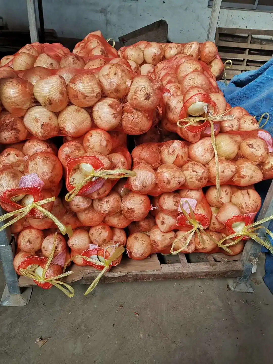 Fresh Onion (3).jpg