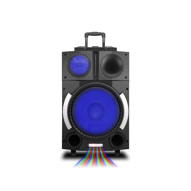 trolley speaker with battery and wheels