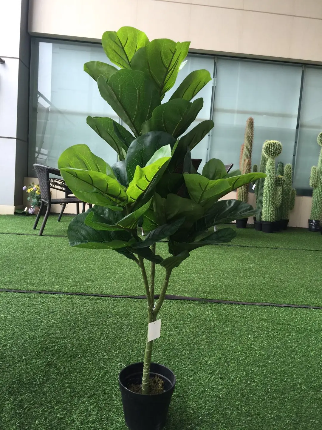 Th17 Hot Sale Green Artificial Potted Banyan Lyrata Plants Ficus