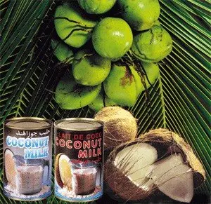 Desiccated-Coconuts.jpg