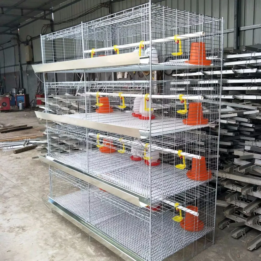 6 Tiers H And T Type High Quality Quail Cage For Sale Philippines Buy