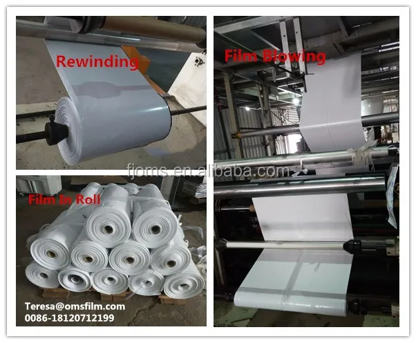 Black & White poly 10' x 10' Panda Film Reflective Sheet grow room