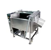 New design ternip/mooli/radish/carrot washing and peeling machine with best price