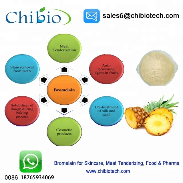 Food Cosmetic Grade Bromelain Enzyme For Meat Tenderizing And Whitening