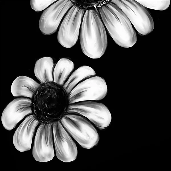 ابيض واسود - صفحة 16 Modern-black-and-white-sunflower-wall-painting