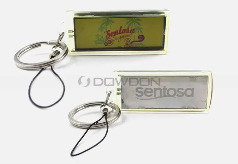 Solar Powered Keychain Name With Customized Logo, View solar powered